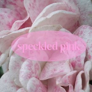 Meet your Posher, Speckled